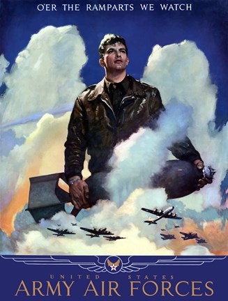 Framed United States Army Air Forces Print