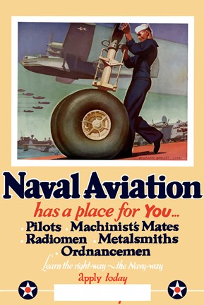 Framed Naval Aviation has a Place for You Print