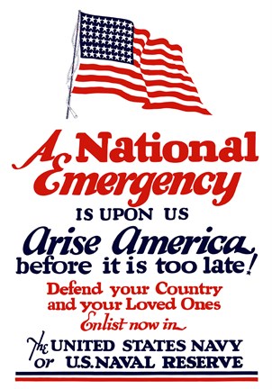 Framed National emergency, Arise America Print