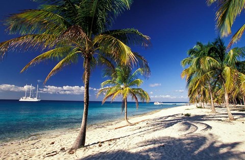 Framed Tropical Beach on Isla de la Juventud, Cuba Print