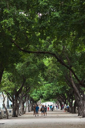 Framed Cuba, Havana, Havana Vieja, Paseo de Marti walkway Print