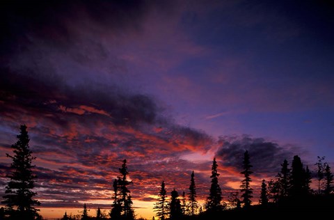 Framed Solstice Sunset atop Midnight Dome, Dawson City, Yukon, Canada Print