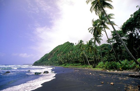 Framed Black Sand Beach, Dominica Print