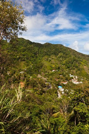 Framed Dominica, Roseau, Grand Bay Area, Petite Savanne Print