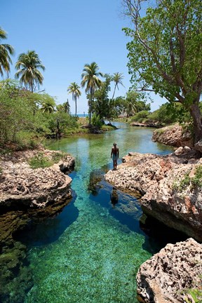 Framed Alligator Hole, Black River Town, Jamaica, Caribbean Print