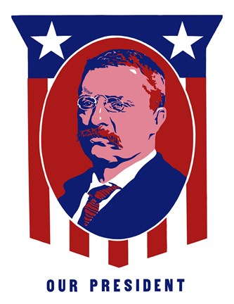 Framed Theodore Roosevelt - Our President Print
