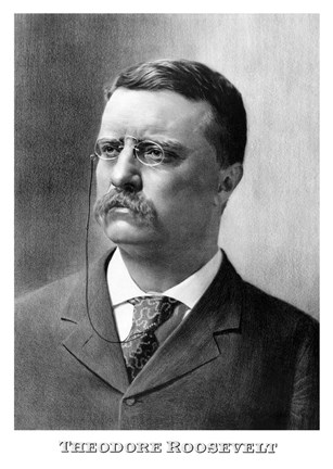 Framed Younger President Theodore Roosevelt Print