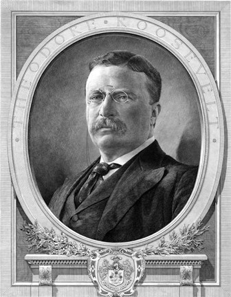 Framed President Theodore Roosevelt Print