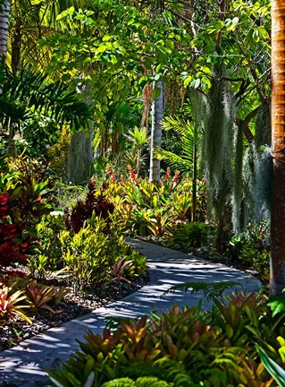 Framed Nature Trail in Charlestown on Nevis, West Indies Print