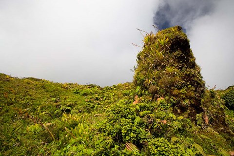 Framed Rim of Summit Crater on Mt Pelee, Martinique, French Antilles Print