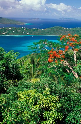 Framed Magens Bay, St Thomas, Caribbean Print