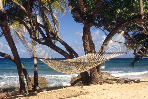 Framed Hammock tied between trees, North Shore beach, St Croix, US Virgin Islands Print