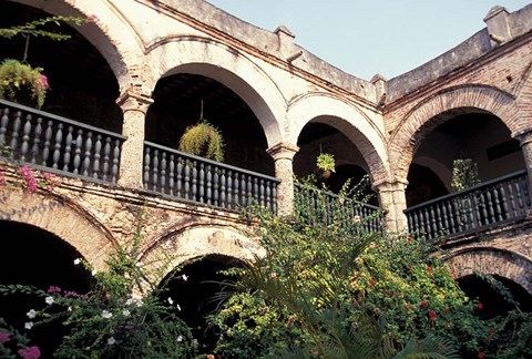 Framed Balcony with Flowers and Trees, Puerto Rico Print