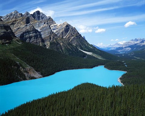 Framed Peyto Lake, Banff National Park, Alberta, Canada Print