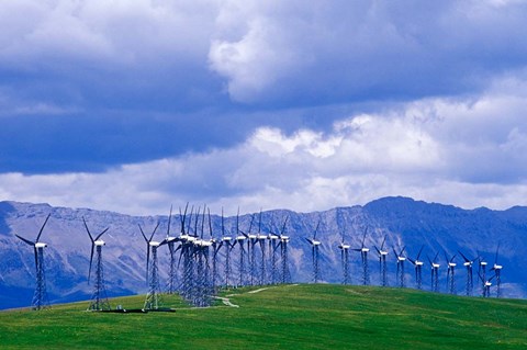 Framed Windmills at Pincher Creek, Alberta, Canada Print