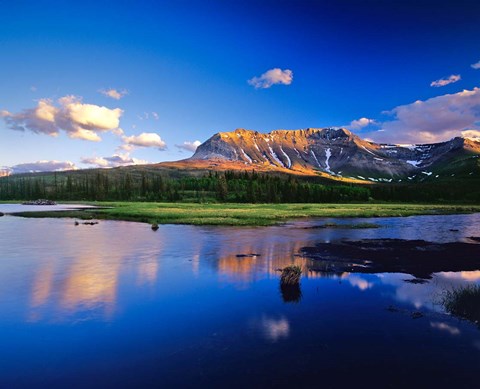 Framed Sofa Mountain Reflects in Beaver Pond, Wateron Lakes National Park, Alberta, Canada Print