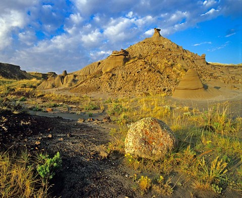 Framed Dinosaur Provincial Park in Alberta, Canada Print