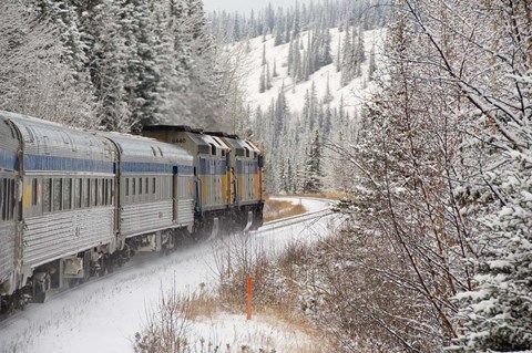 Framed Via Rail Snow Train Between Edmonton &amp; Jasper, Alberta, Canada Print