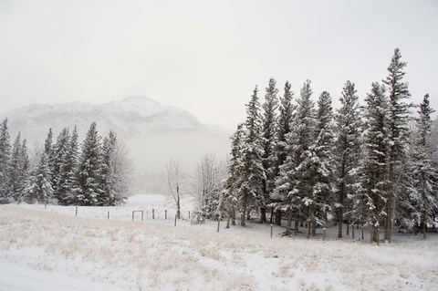 Framed Winter Views from Train, Alberta, Canada Print