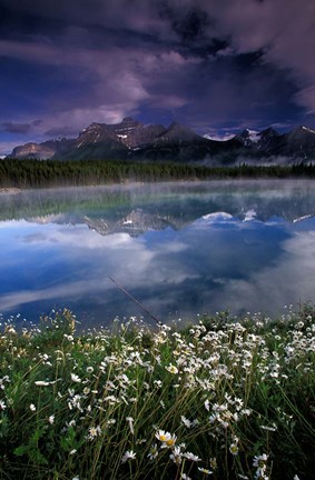 Framed Alberta, Banff National Park Lake Maligne wildflowers Print
