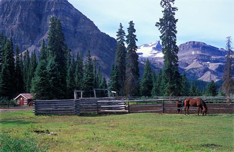 Framed Log Cabin, Horse and Corral, Banff National Park, Alberta, Canada Print