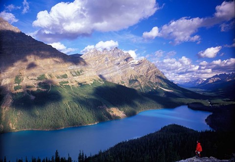 Framed Hiker Overlooking Peyto Lake, Banff National Park, Alberta, Canada Print