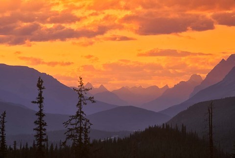 Framed Alberta, Baniff NP, Sunset on Mountain ridges Print
