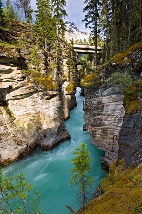 Framed Athabasca Falls, Jasper National Park, Alberta, Canada Print