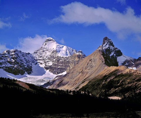 Framed Alberta, Mt Saskatchewan, Banff NP Print