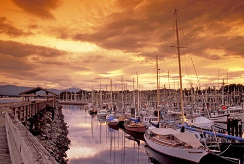 Framed Boats at Sunset, Comox Harbor, British Columbia Print