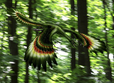 Framed Archaeopteryx flying through a forest Print