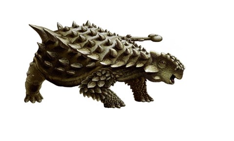Framed armored Saichania ankylosaurid, white background Print