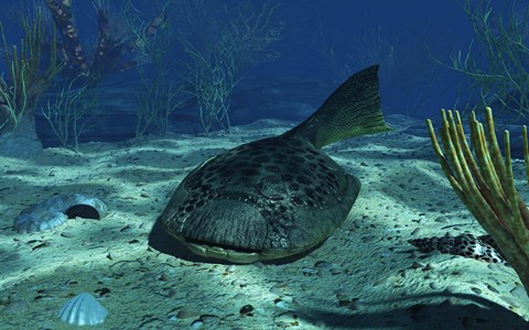 Framed Drepanaspis on the bottom of a shallow Devonian sea Print