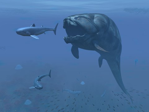 Framed prehistoric Dunkleosteus fish prepares to eat a primitive shark Print