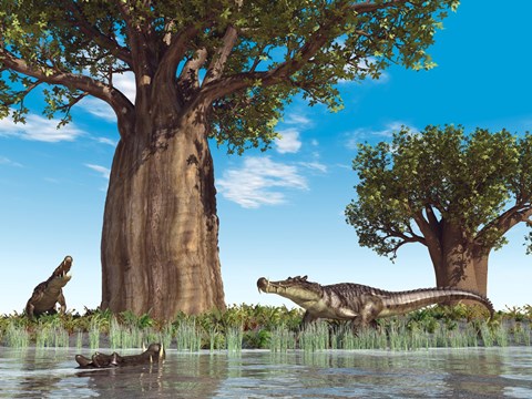 Framed Kaprosuchus crocodyliforms near a baobab tree in a prehistoric landscape Print