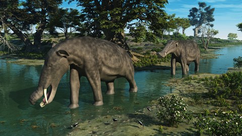 Framed pair of Platybelodon grazing in a shallow stream Print