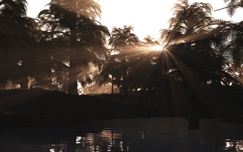 Framed Late Devonian sun sets behind a forest of Archaeopteris plants Print