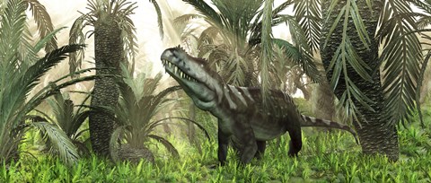 Framed archosaur wanders amidst cycads and ferns in a prehistoric swamp Print