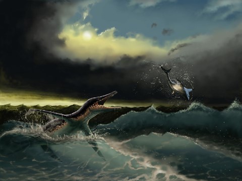 Framed Pliosaurus irgisensis attacking a shark Print