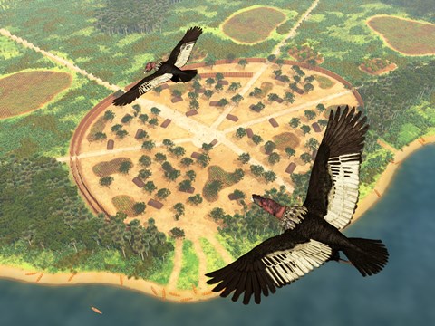 Framed pair of Andean Condors fly over an Amazonian village Print