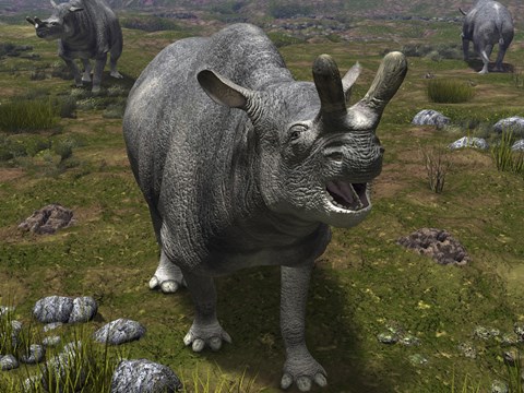Framed Brontotherium leaves his forest habitat in search of a meal Print