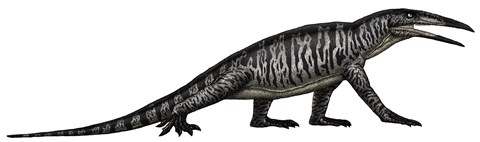 Framed Teraterpeton, an Archosauromorph from the Late Triassic Print