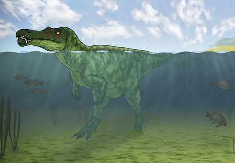 Framed Baryonyx Swimming Amongst Some Lepidotes Fish Print