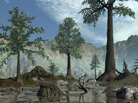 Framed First Trees Begin to Populate Earth near the end of the Devonian Period Print