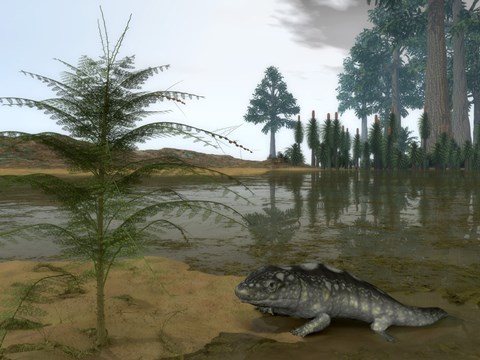 Framed Late Devonian Ichthyostega emerges from Waters of a Floodplain Print