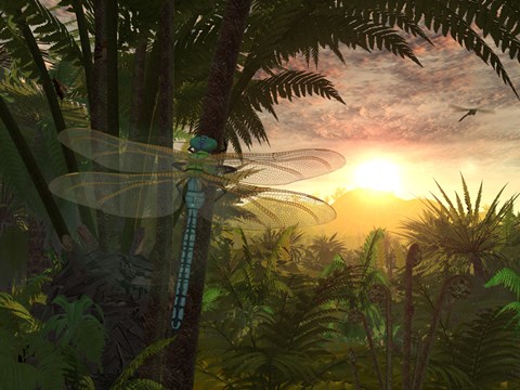 Framed Giant Meganeura with a 30-inch Wingspan Witnesses a Sunrise Print