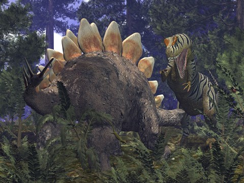 Framed Allosaurus Stumbles upon a Grazing Stegosaurus Print