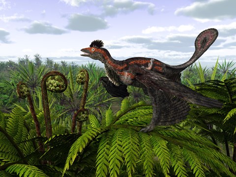 Framed Feathered Microraptor Perched atop a Tree Fern Print
