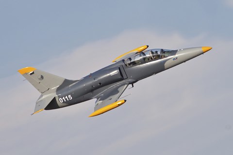 Framed Czech Air Force AERO L-39C Albatros Jet Trainer Print