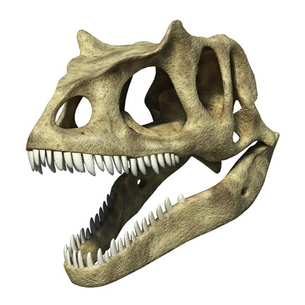 Framed 3D Rendering of an Allosaurus Skull Print